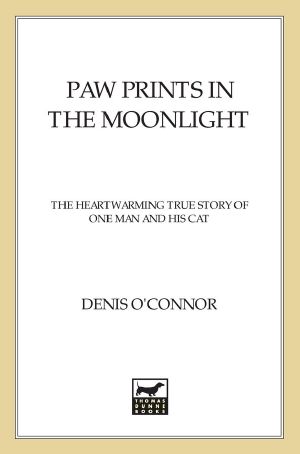 [Paw Tracks 01] • Paw Prints in the Moonlight